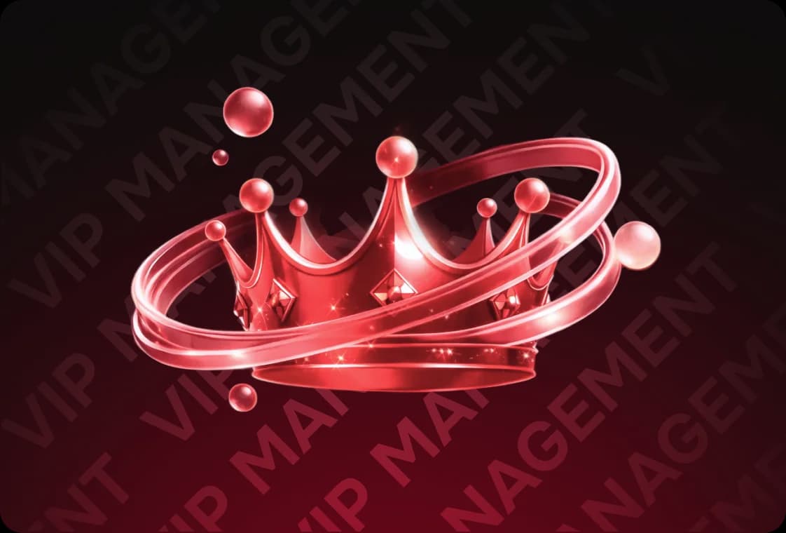 VIP MANAGEMENT